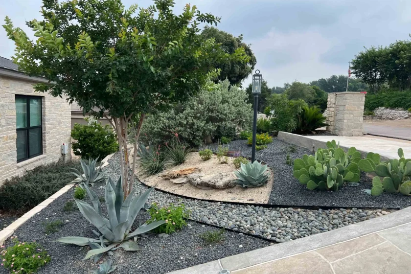 Xeriscaping Dripping Springs, TX