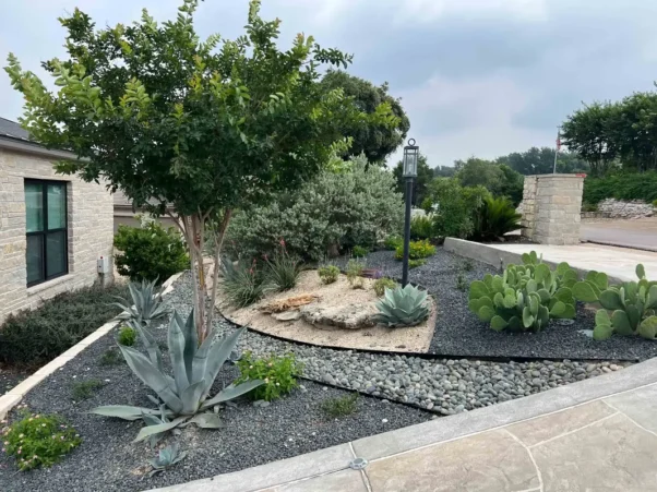 Native-xeriscape-in-austin texax