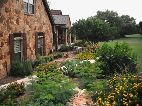 Native Texas xeriscaping along a stone house with lush green shrubs