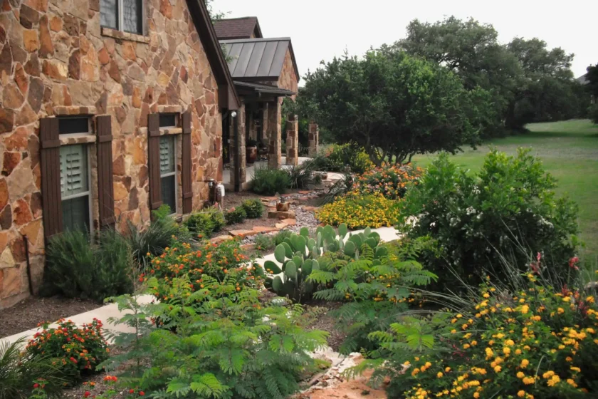 Native Texas xeriscaping along a stone house with lush green shrubs