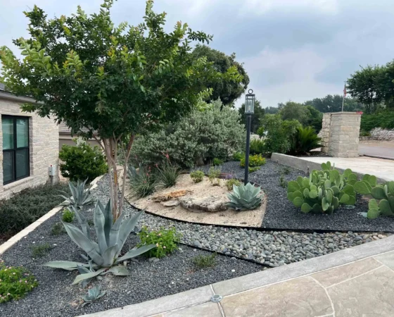 Native xeriscape frontyard of home in dripping springs