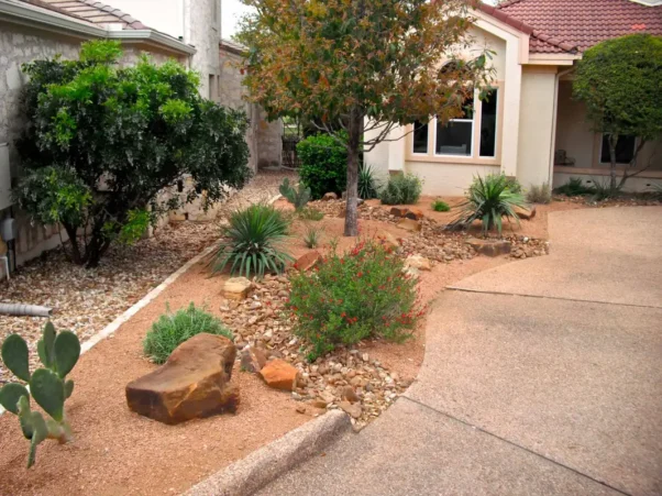 Native Xeriscape walkway in Austin