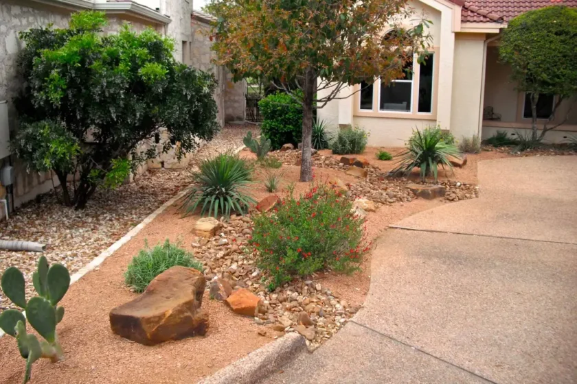 Native Xeriscape walkway in Austin