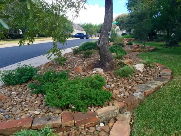 Native Xeriscape in Austin Texas