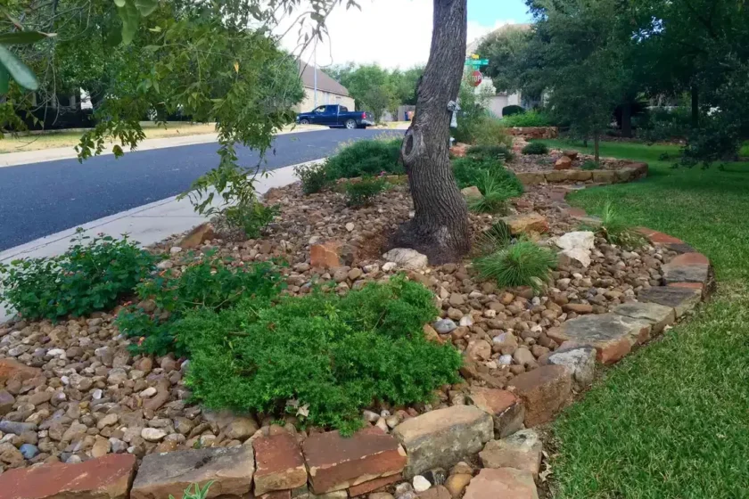 Native Xeriscape in Austin Texas